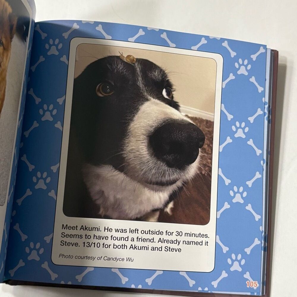 We Rate Dogs: The Most Adorable and Hilarious Pups by Matt Nelson Hardcover - Picture 2 of 5